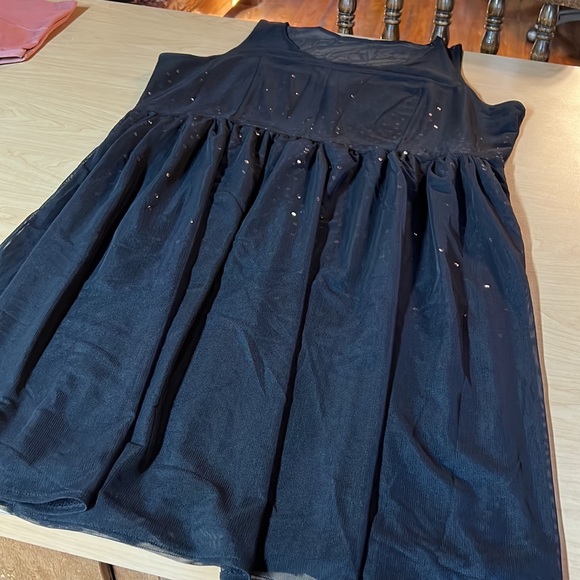 Lane Bryant Sequin Dress 20